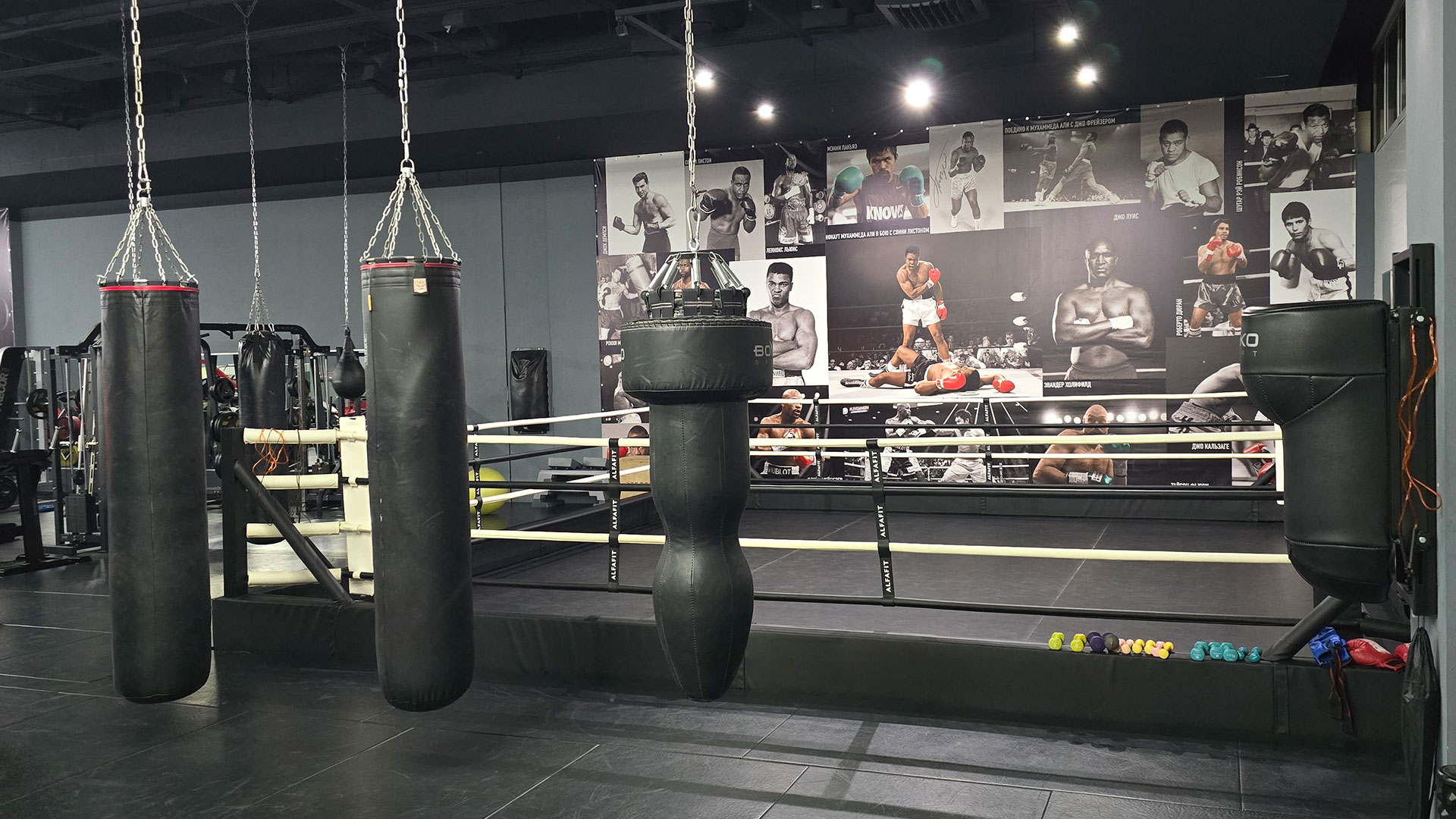Зона бокса - фото 2