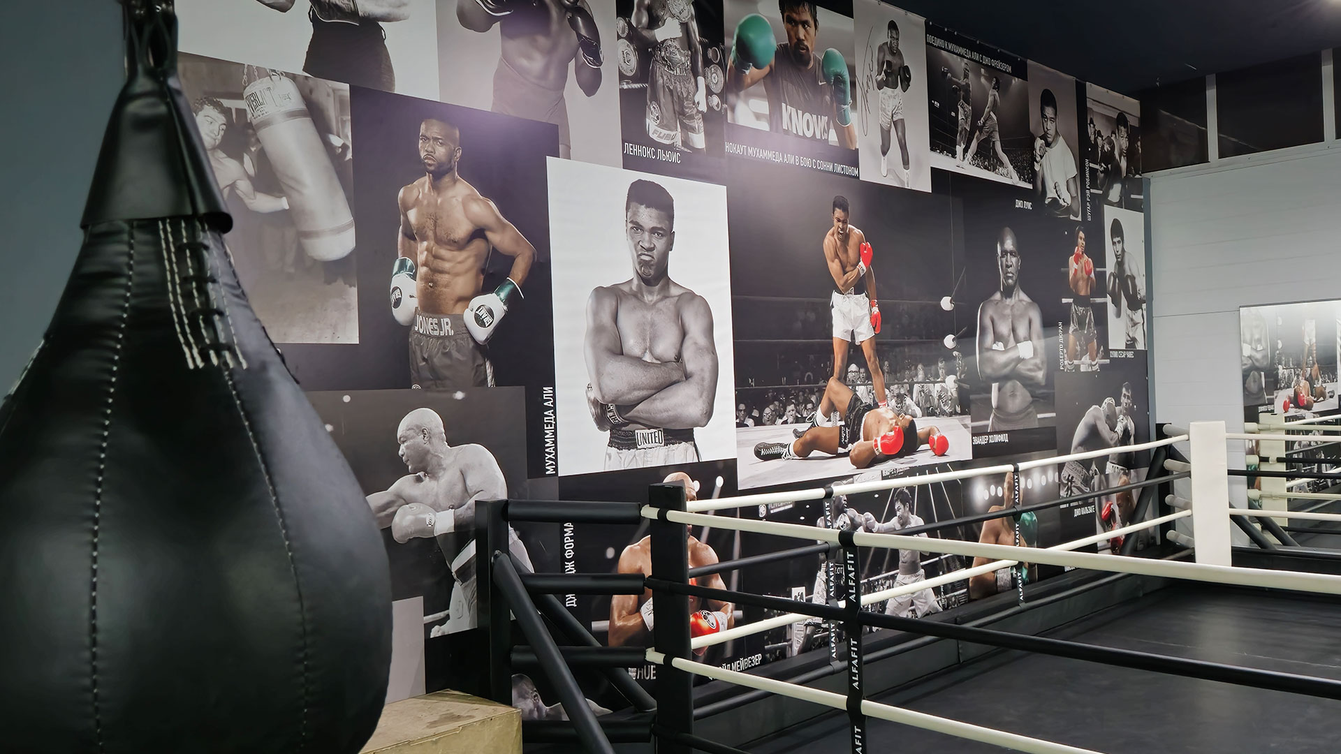 Зона бокса - фото 3