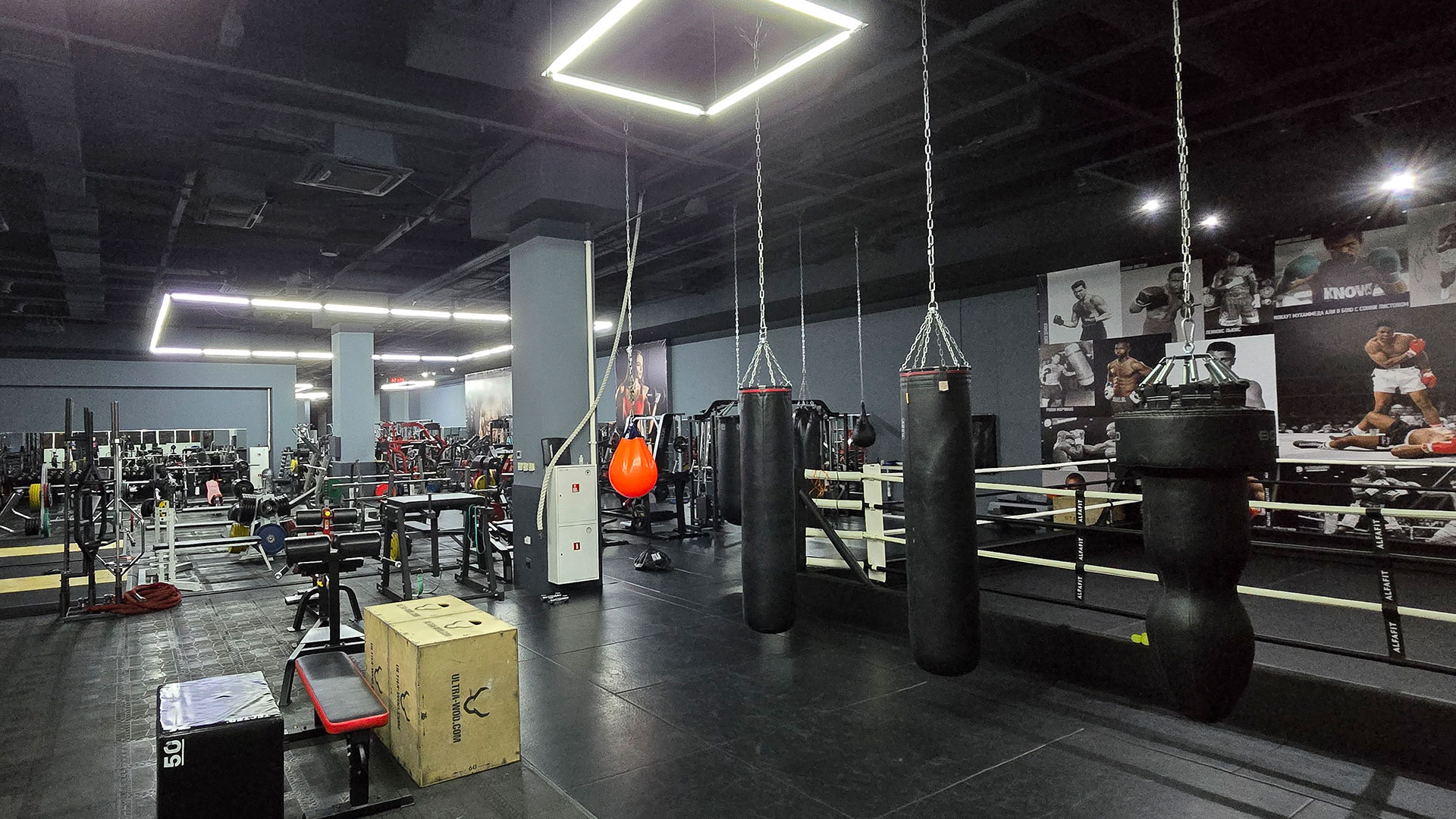 Зона бокса - фото 5