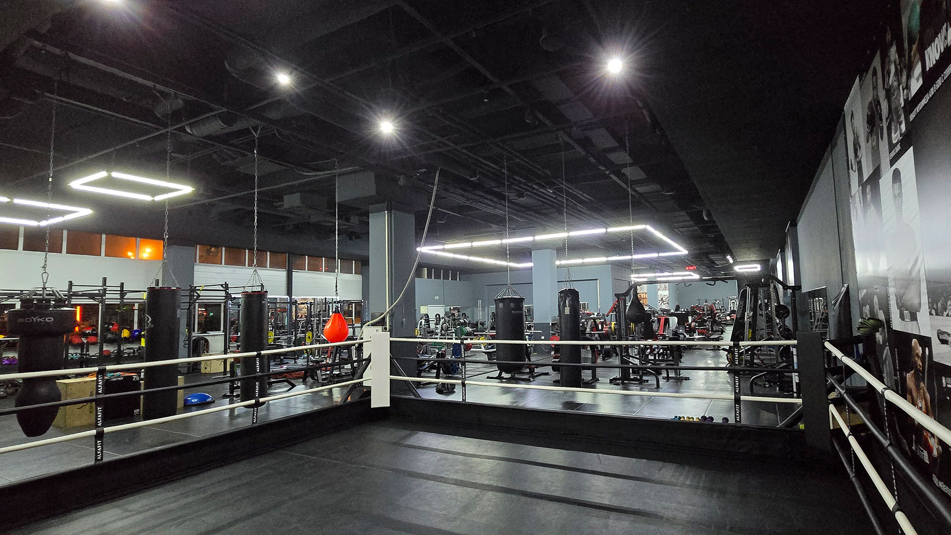 Зона бокса - фото 7