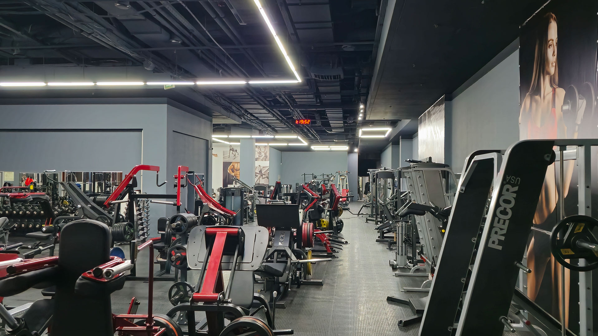 Зона бодибилдинга - фото 1