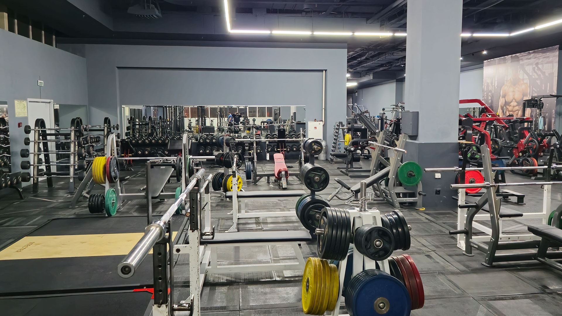 Зона бодибилдинга - фото 3