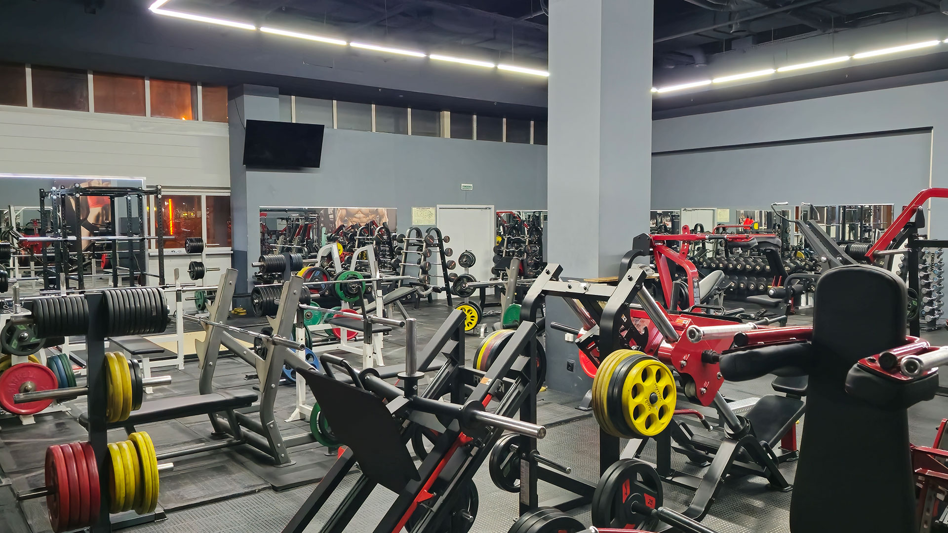 Зона бодибилдинга - фото 4