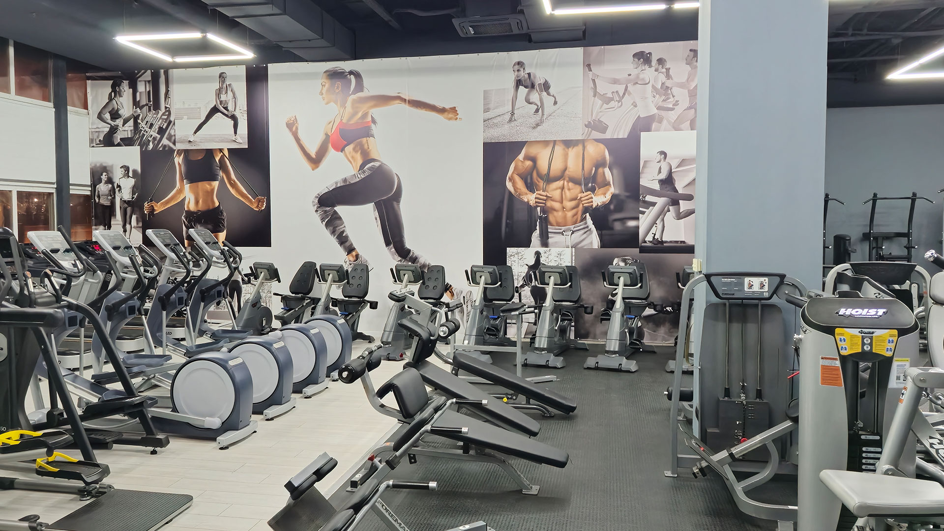 Зона бодибилдинга - фото 2