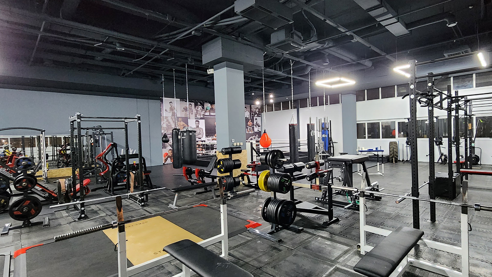 Зона бодибилдинга - фото 8