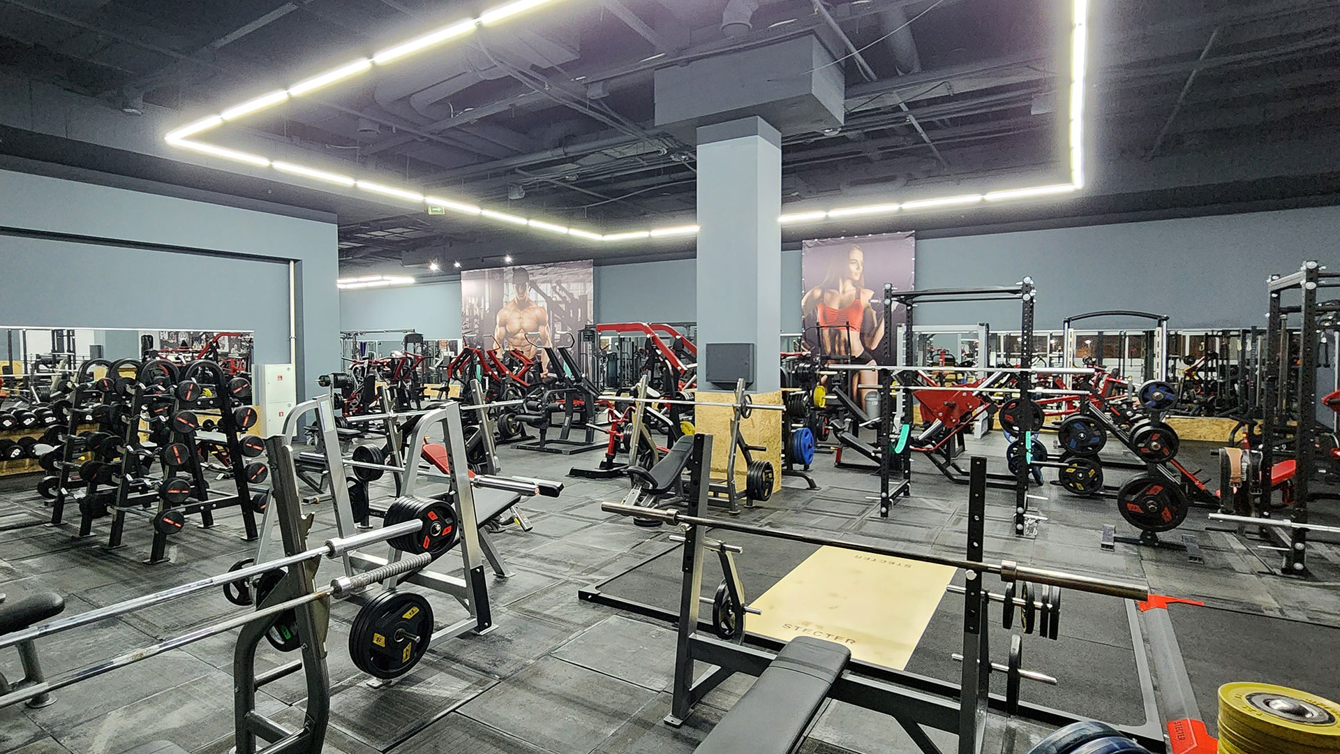 Зона бодибилдинга - фото 9