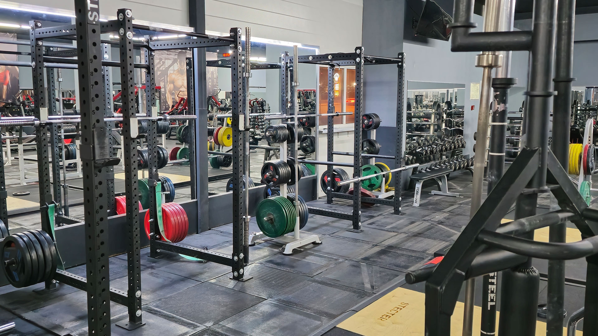 Зона бодибилдинга - фото 11