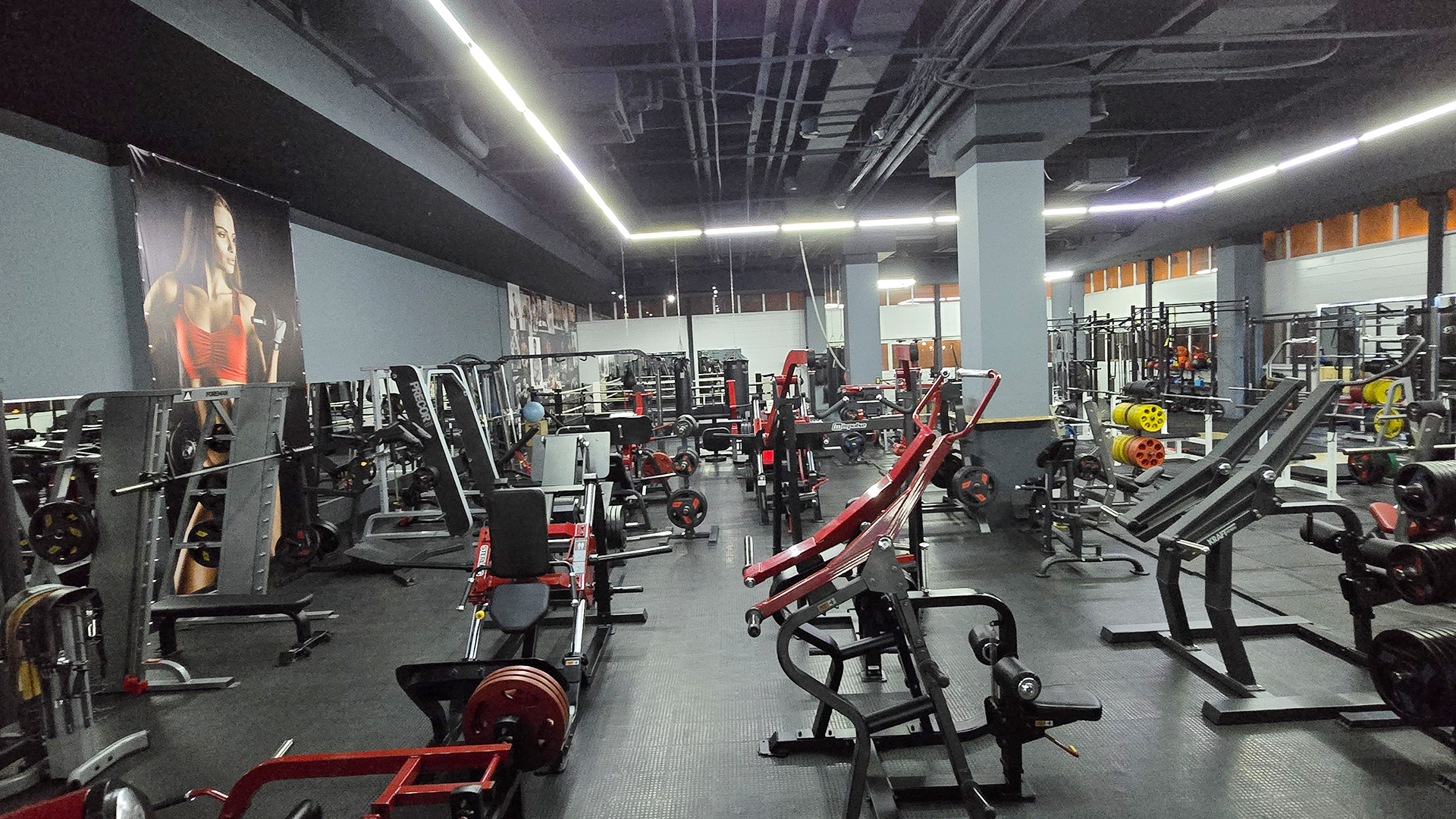 Зона бодибилдинга - фото 16