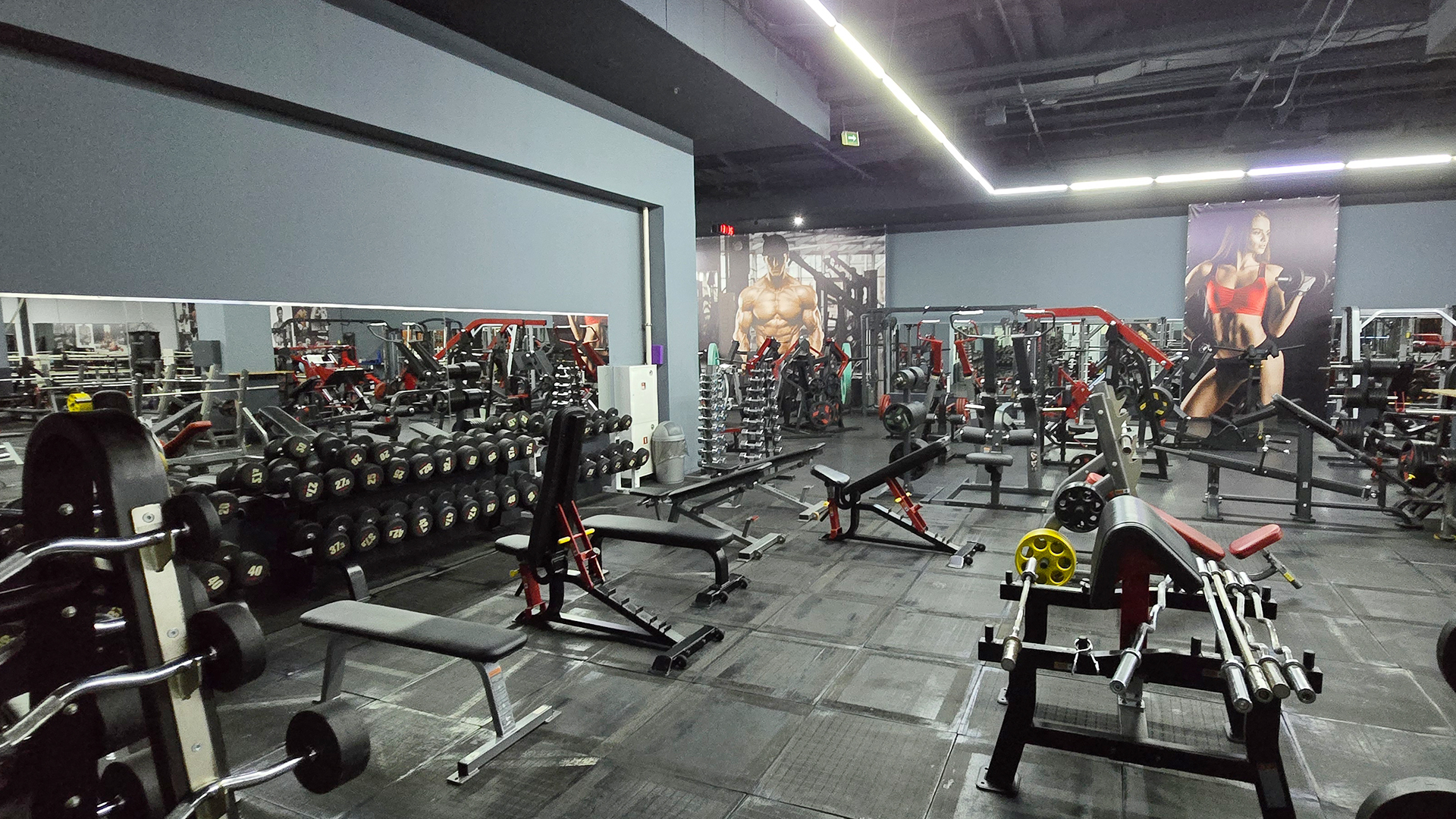 Зона бодибилдинга - фото 17