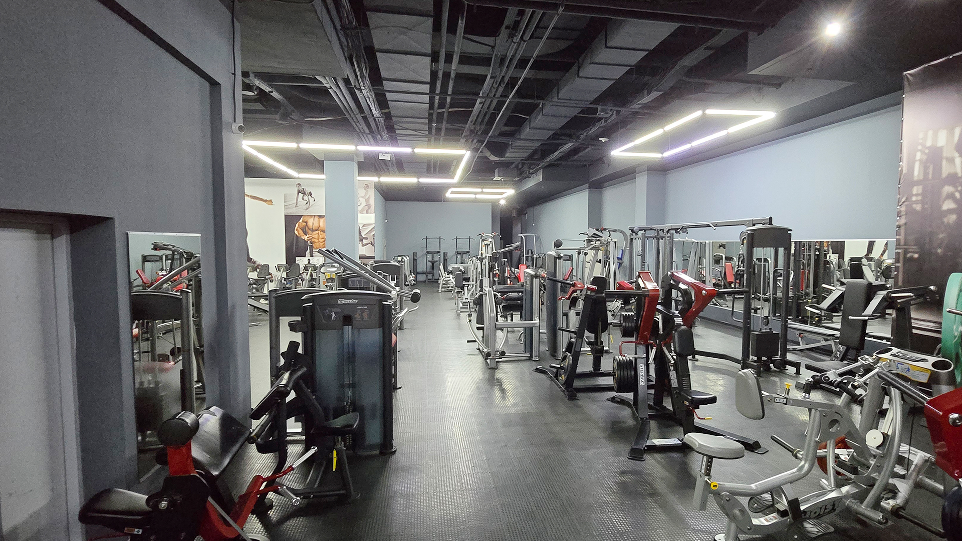 Зона бодибилдинга - фото 18