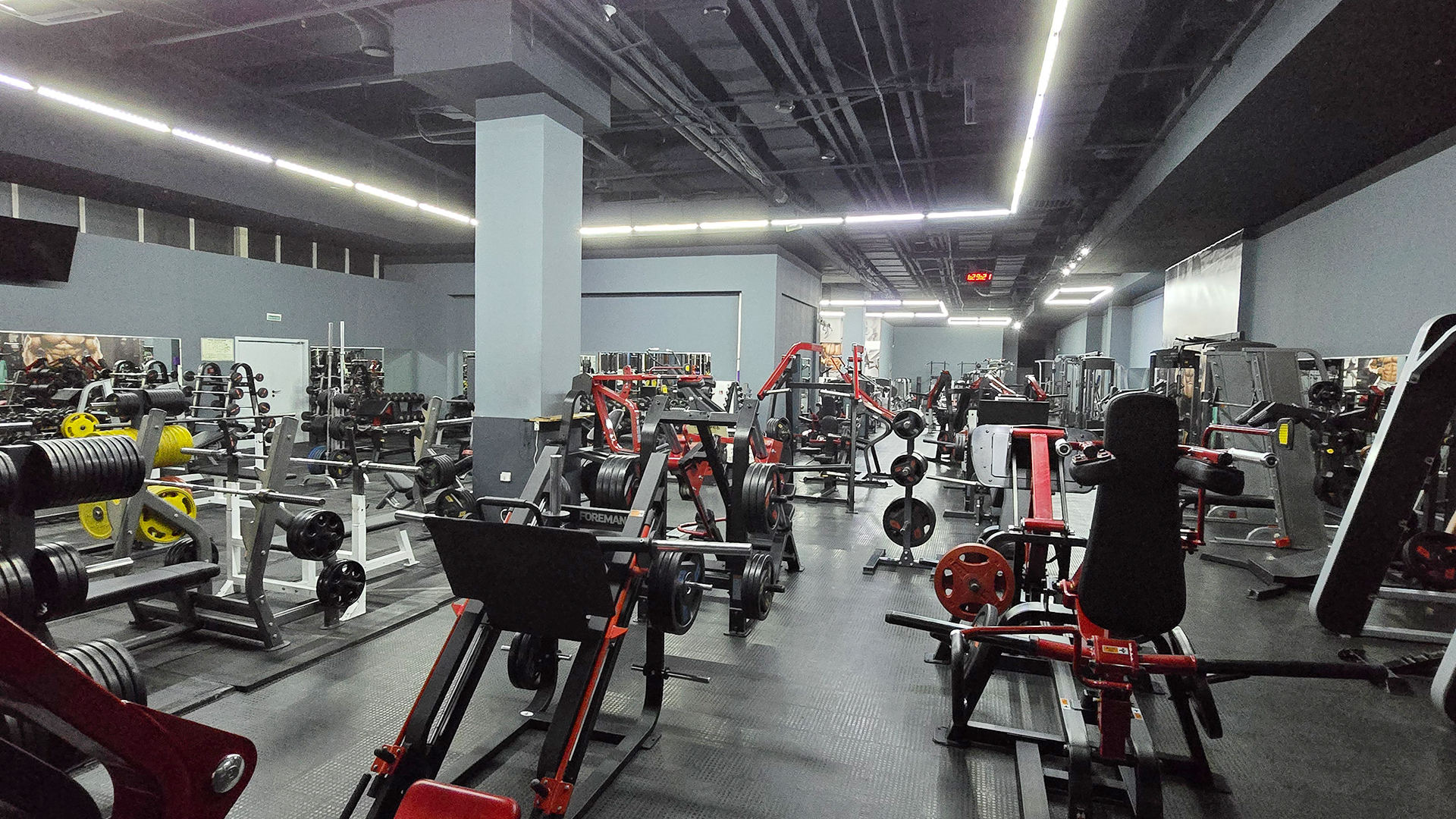 Зона бодибилдинга - фото 20