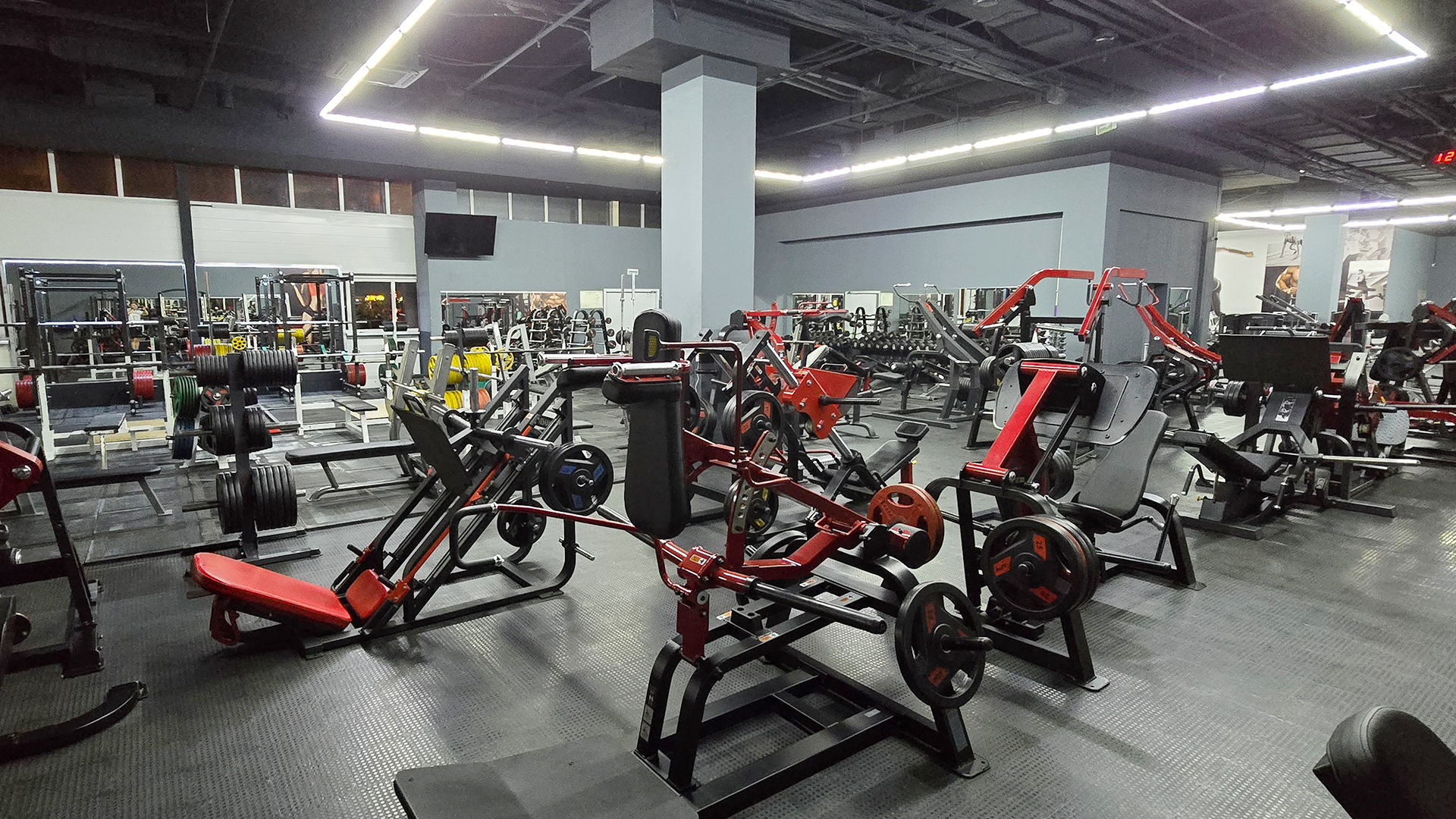 Зона бодибилдинга - фото 21