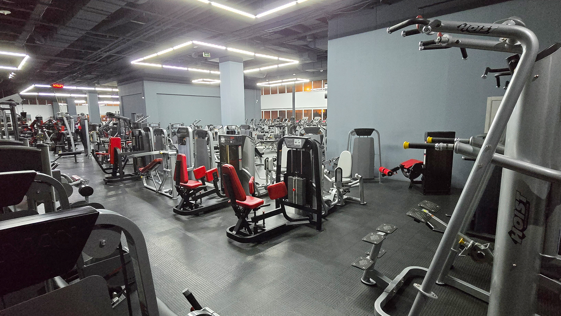 Зона бодибилдинга - фото 24