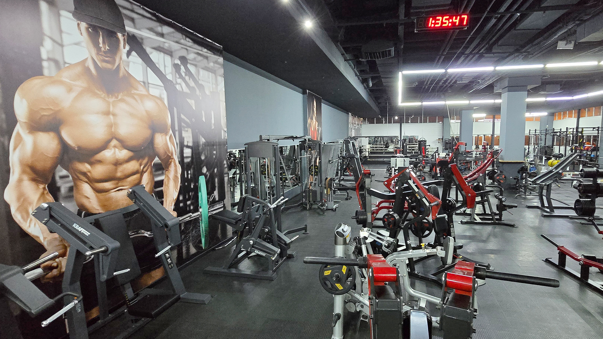 Зона бодибилдинга - фото 25