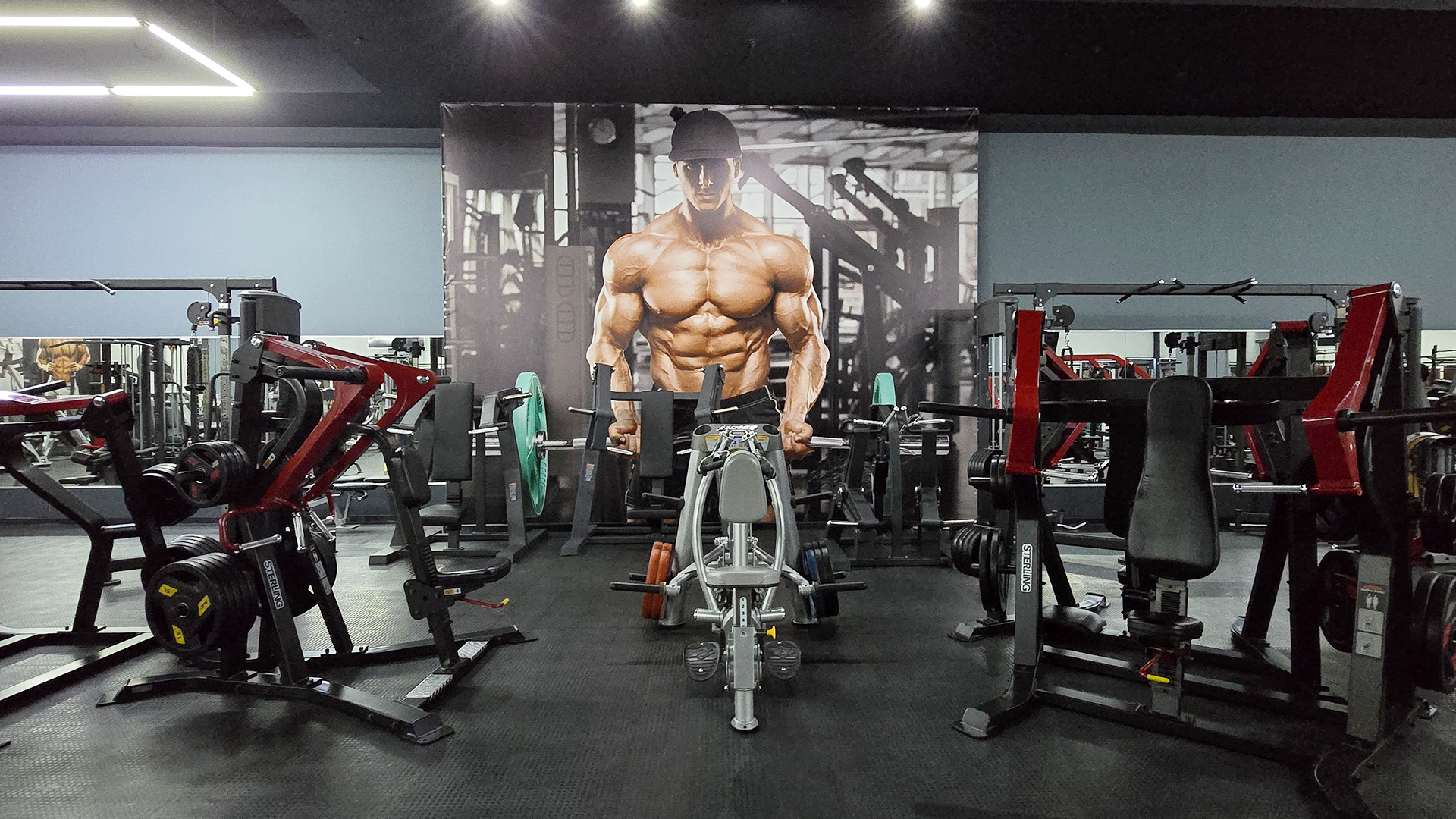 Зона бодибилдинга - фото 26